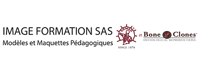 IMAGE FORMATION SAS Logo IMAGE FORMATION SAS fournisseur de musée