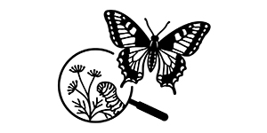 Emilien Bouteille Entomologie Logo Emilien Bouteille Entomologie fournisseur de musée