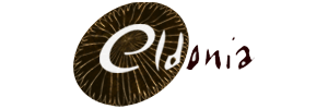 Logo ELDONIA fournisseur de musée